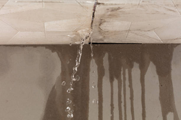 Professional Structural Drying technician working in Leakesville, MS